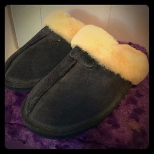 Bear foot slippers